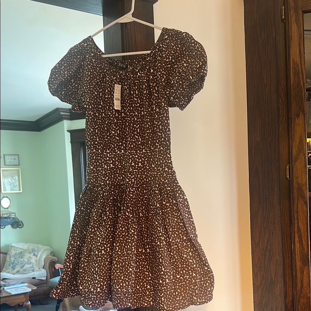 Charming Brown Dress